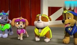 娱乐吃瓜君汪汪,揭秘娱乐圈那些不为人知的幕后故事